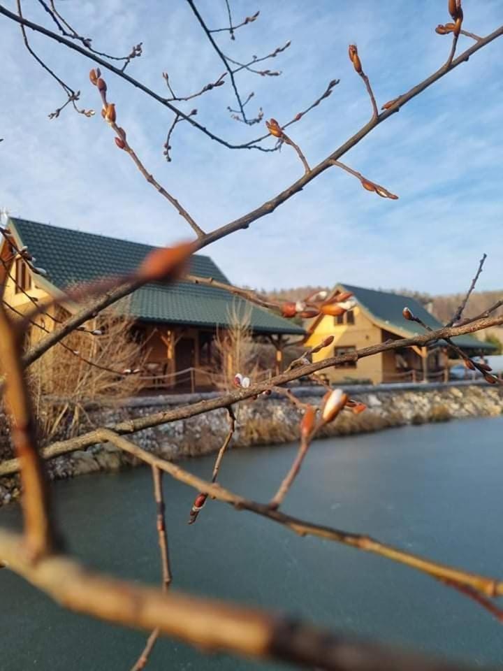 Domki Gorska Zatoka Stronie Śląskie Extérieur photo
